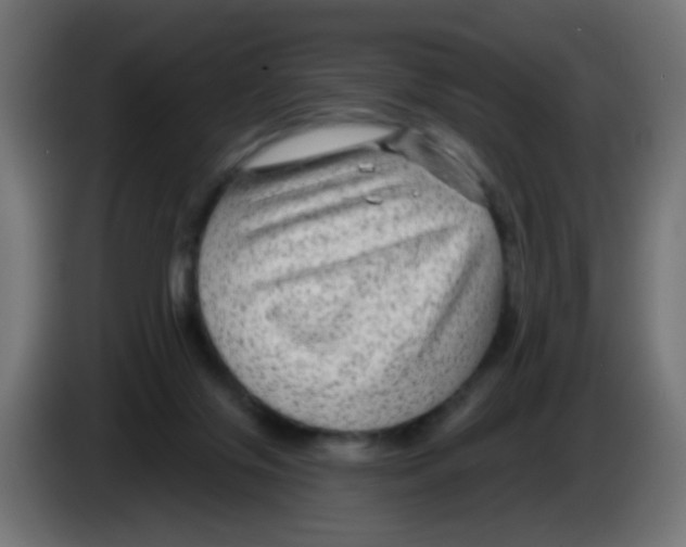 X0000083050071200703022120