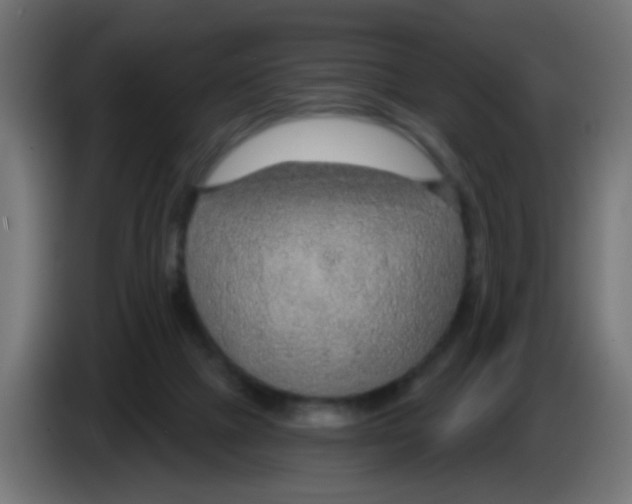 X0000083050073200703022120