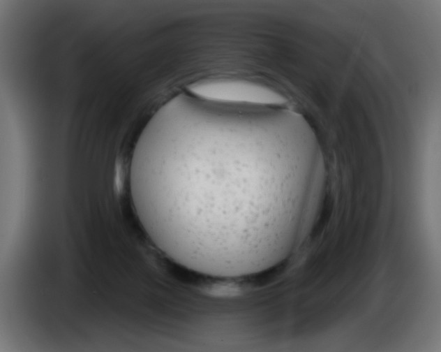 X0000083050075200703022120