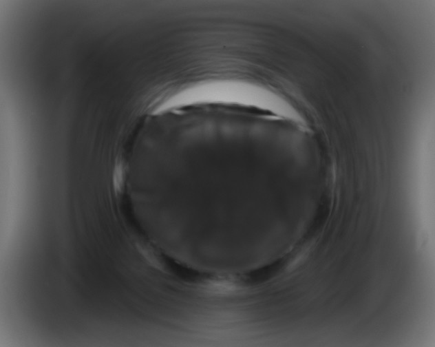 X0000083050076200703022120