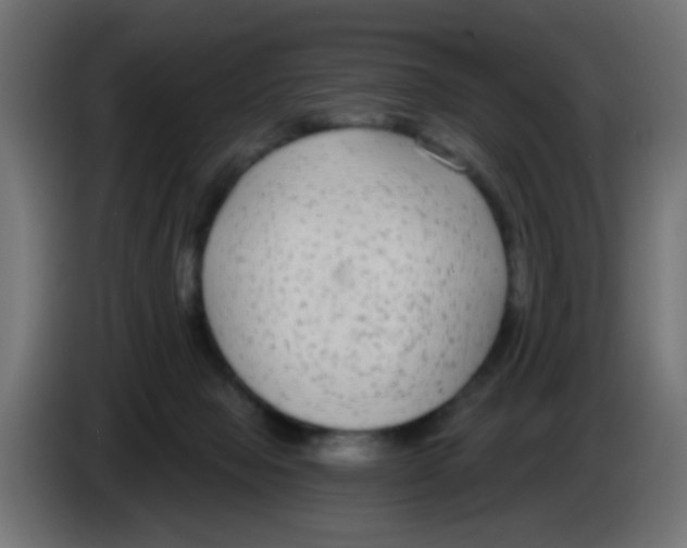 X0000083050077200703022120