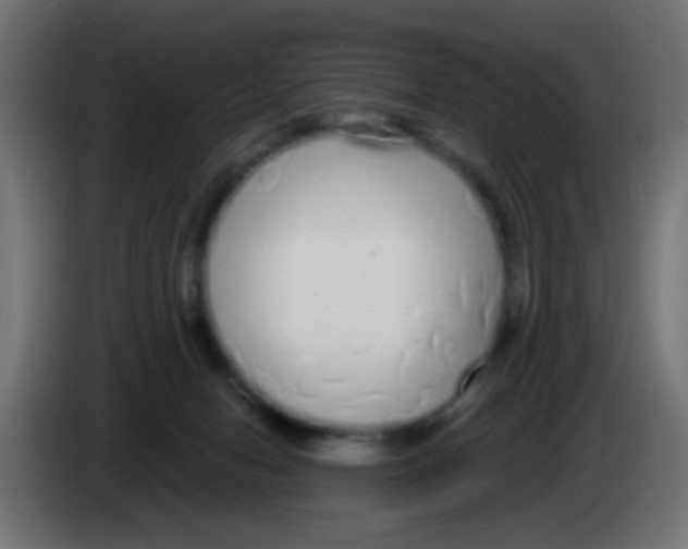 X0000083050078200703022120