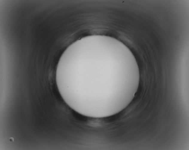 X0000083050079200703022120