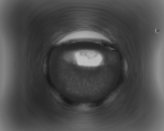 X0000083050080200703022120