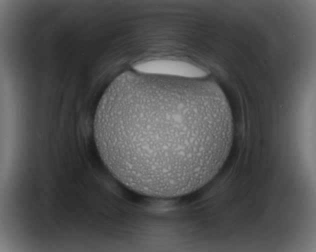 X0000083050081200703022120