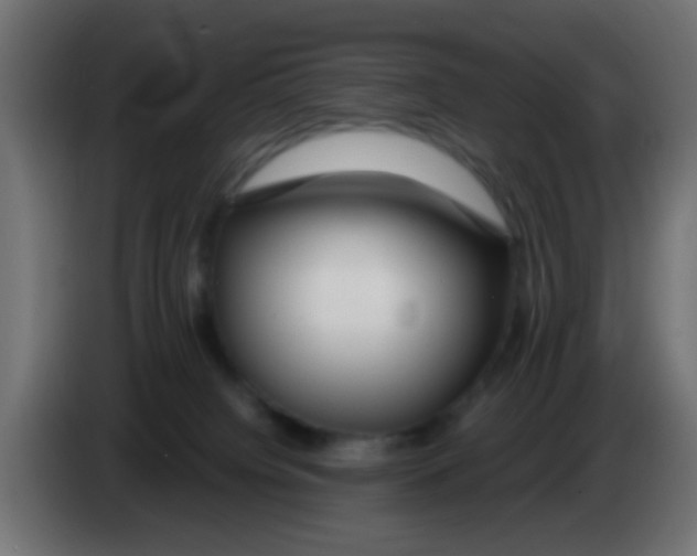 X0000083050084200703022120