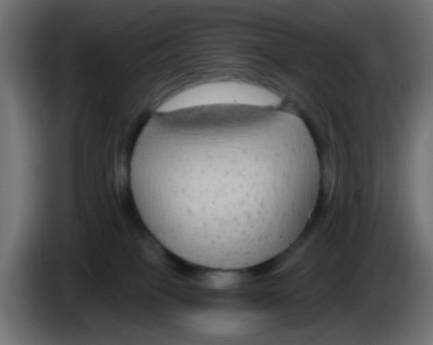 X0000083050085200703022120