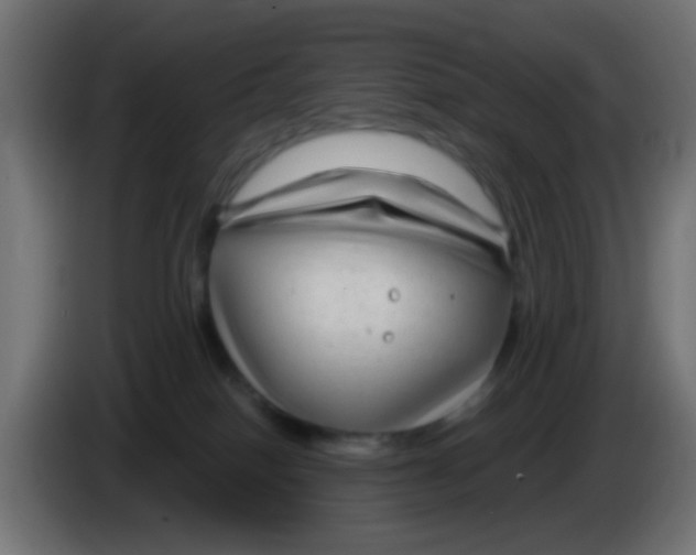 X0000083050086200703022120