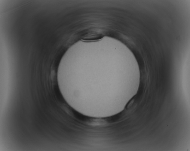 X0000083050087200703022120