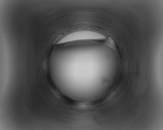 X0000083050088200703022120