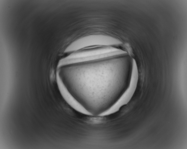 X0000083050089200703022120