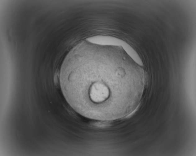 X0000083050094200703022120