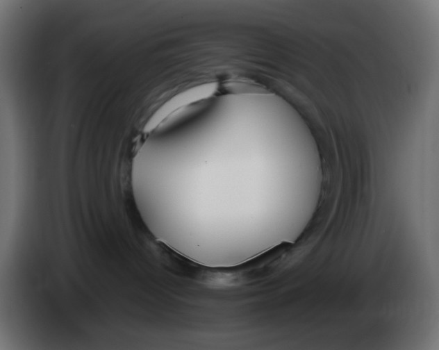 X0000083050096200703022120