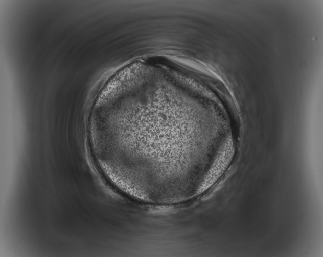 X0000083050097200703022120