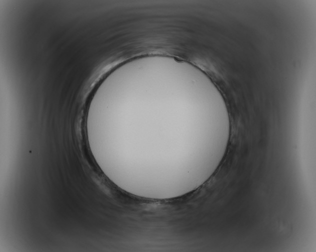 X0000083050098200703022120