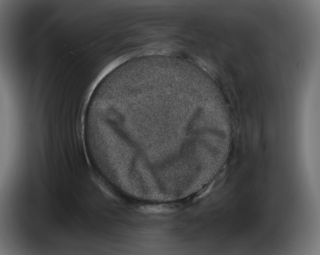 X0000083050100200703022120