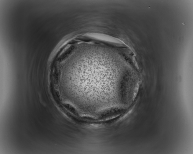 X0000083050101200703022119