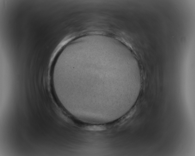 X0000083050102200703022119