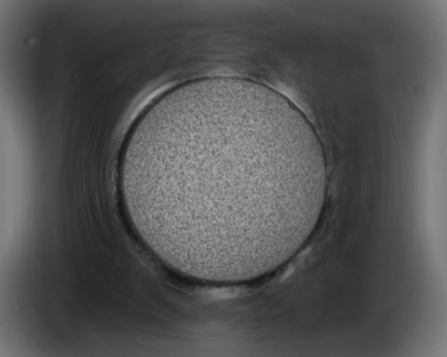 X0000083050103200703022119