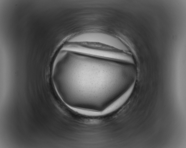 X0000083050107200703022119