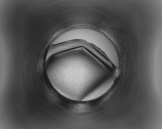 X0000083050111200703022119