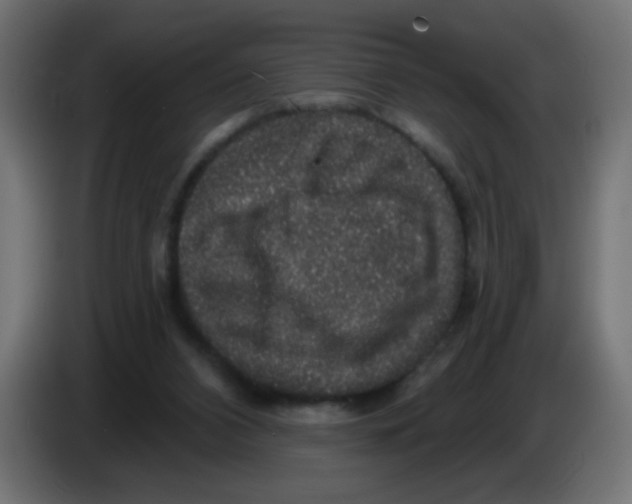 X0000083050112200703022119