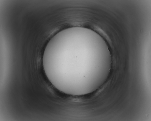 X0000083050113200703022119