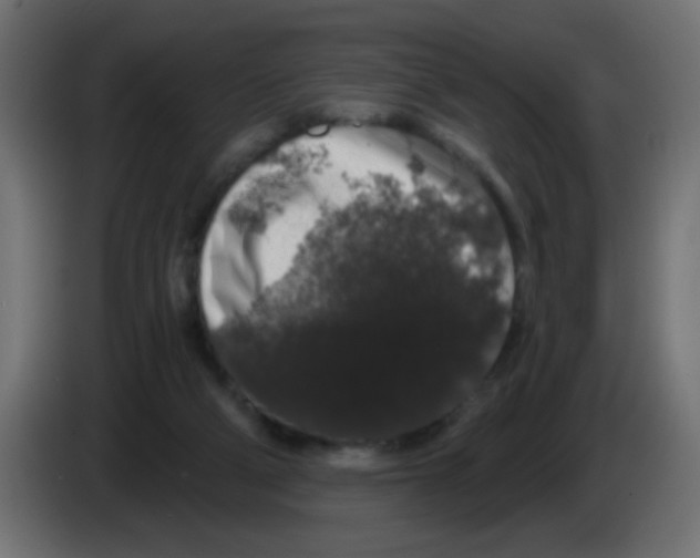 X0000083050114200703022119