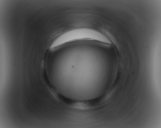 X0000083050117200703022119