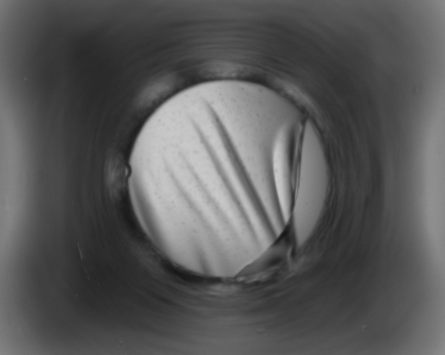 X0000083050119200703022119