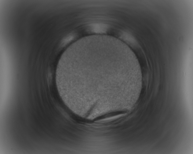 X0000083050120200703022119