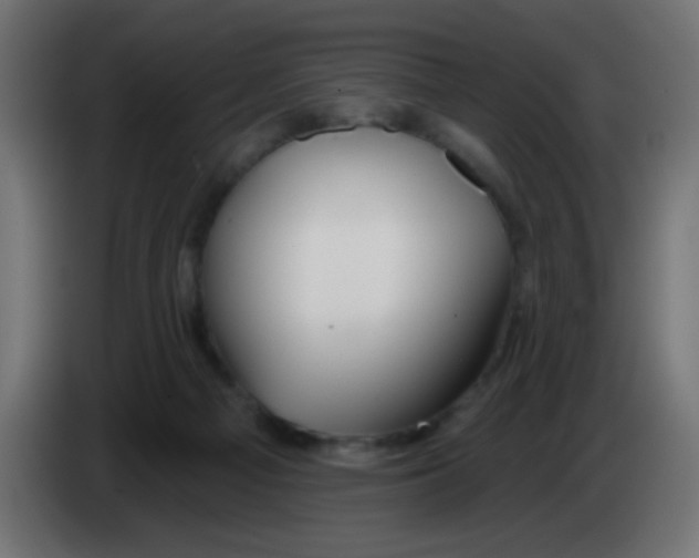 X0000083050121200703022119