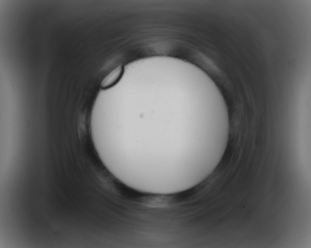 X0000083050122200703022119