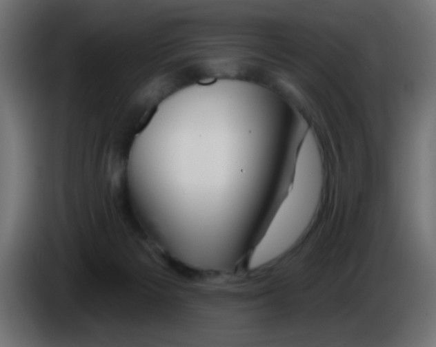 X0000083050125200703022119