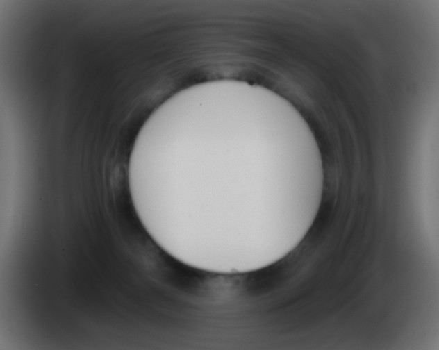 X0000083050126200703022119