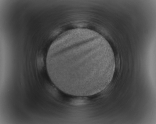 X0000083050128200703022119