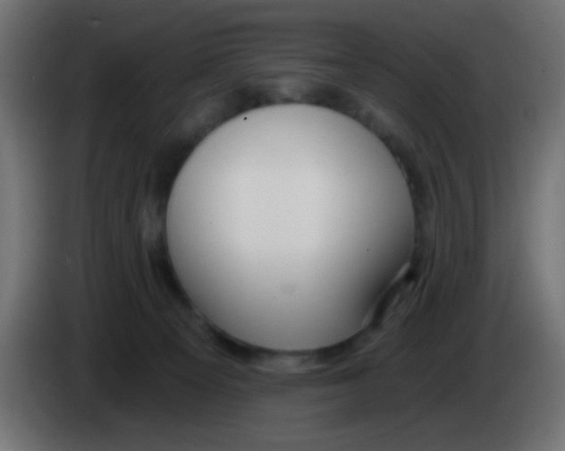 X0000083050129200703022119