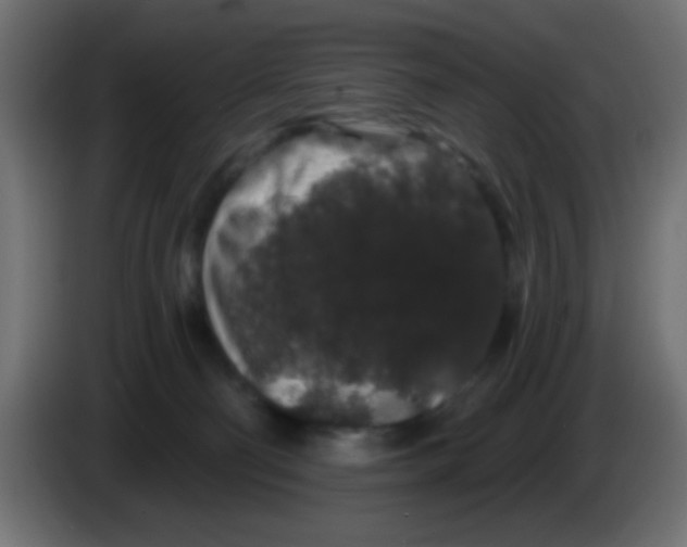 X0000083050130200703022119