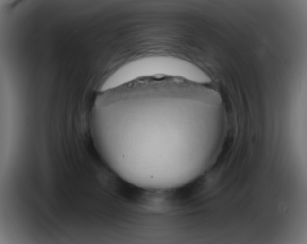 X0000083050131200703022119