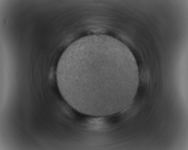 X0000083050132200703022119