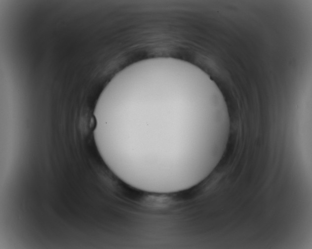 X0000083050133200703022119