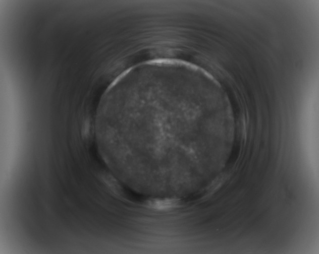 X0000083050134200703022119