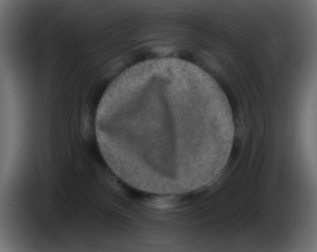 X0000083050136200703022119