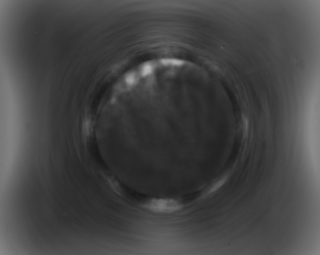 X0000083050137200703022119