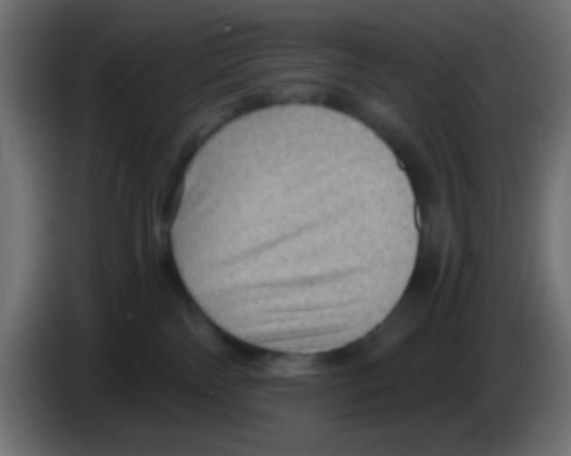 X0000083050138200703022119