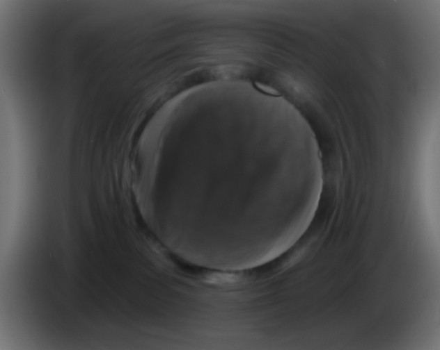 X0000083050139200703022119