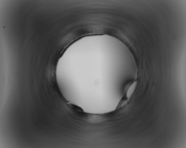 X0000083050141200703022119