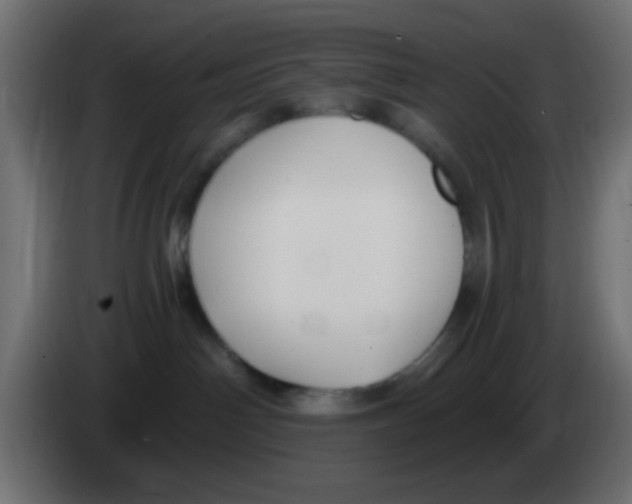 X0000083050142200703022119