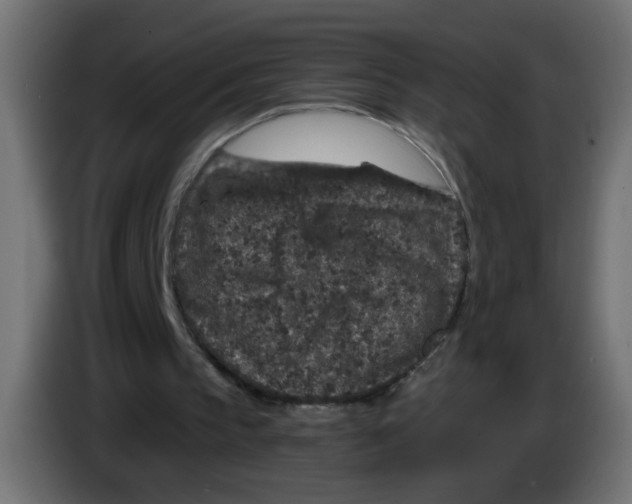 X0000083050145200703022118