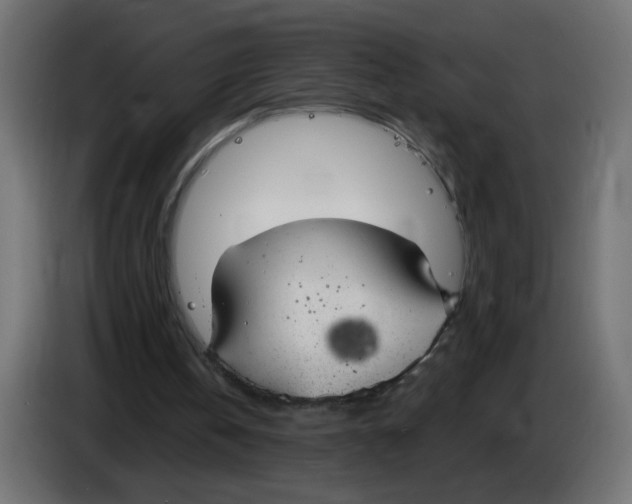 X0000083050146200703022118